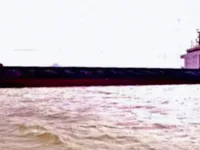 Bulkcarrier te koop