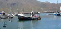 Trawler te koop