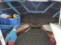 Trawler te koop
