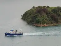 Catamaran te koop