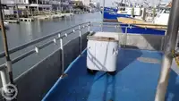 Catamaran te koop