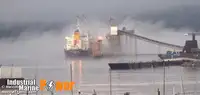 Bulkcarrier te koop