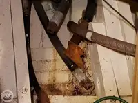 Veerboot te koop