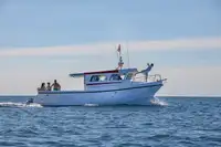Veerboot te koop