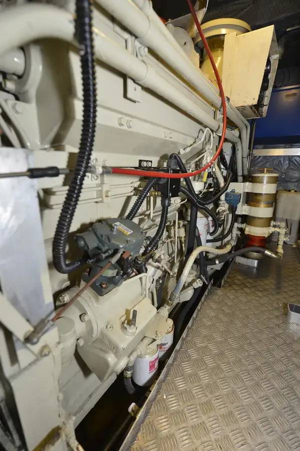 Catamaran te koop