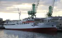 Trawler te koop