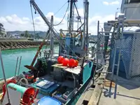 Trawler Te koop