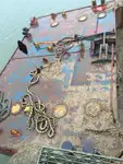 Barge te koop