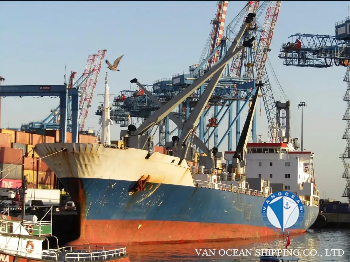 Koelschip te koop