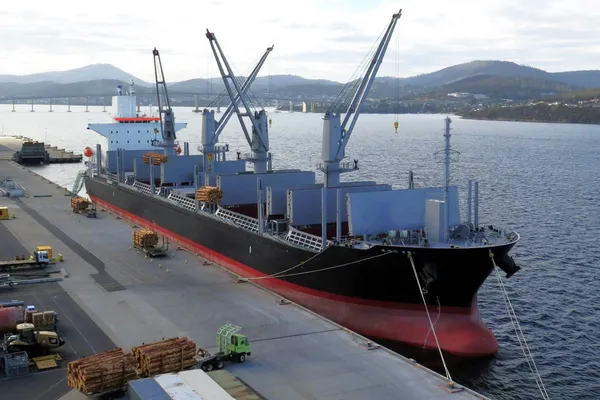 Bulk carrier for sale
