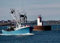 Purse seiner Te koop