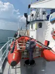 Bulkcarrier te koop