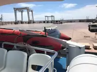 Catamaran te koop