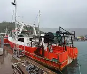 Trawler te koop