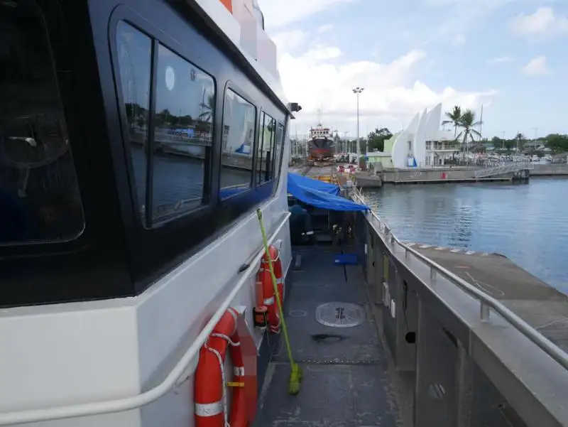 Catamaran te koop