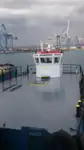 Werkboten te koop