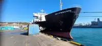 Ro-Ro ship Te koop