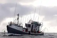 Trawler te koop