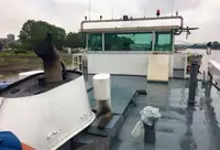 Barge te koop