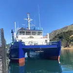 Catamaran te koop