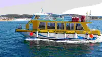 Veerboot Te koop