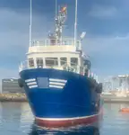 Werkboten te koop