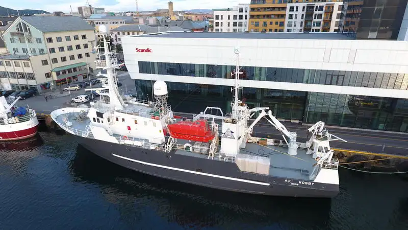 Containerschip te koop