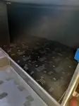 Passagiersschip te koop