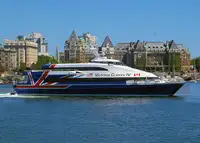 Catamaran Te koop