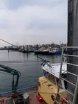 Trawler te koop