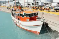Trawler te koop