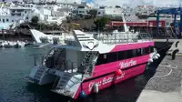 Catamaran Te koop