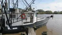 Trawler te koop