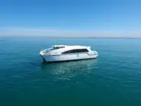 Catamaran te koop