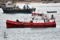Patrouilleboot Te koop