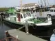 Patrouilleboot Te koop