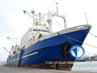 Trawler te koop