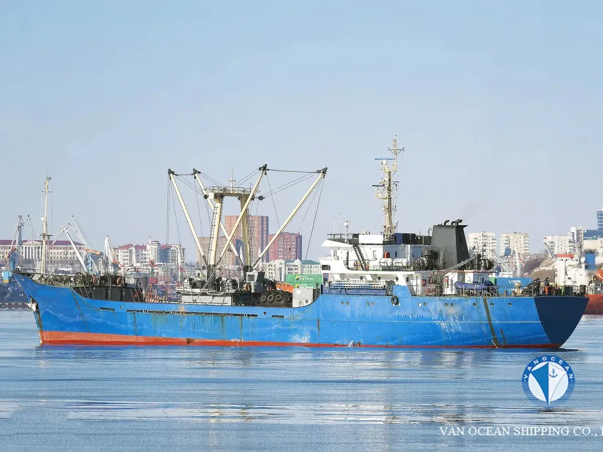 Koelschip te koop