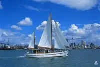 Baggeraarschip te koop