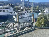 Trawler te koop