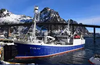 Purse seiner Te koop