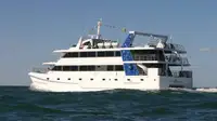 Catamaran Te koop