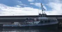 Sleepboot Te koop