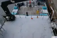 Catamaran te koop