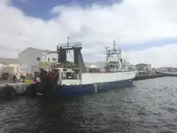 Trawler te koop