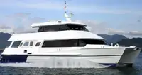 Catamaran Te koop