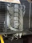 Containerschip te koop