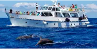Cruise schip Te koop