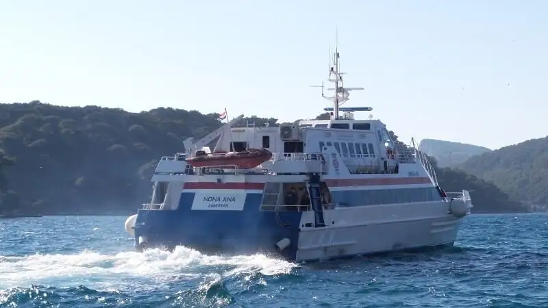 Catamaran te koop
