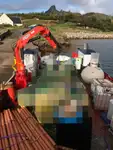 Werkboten te koop